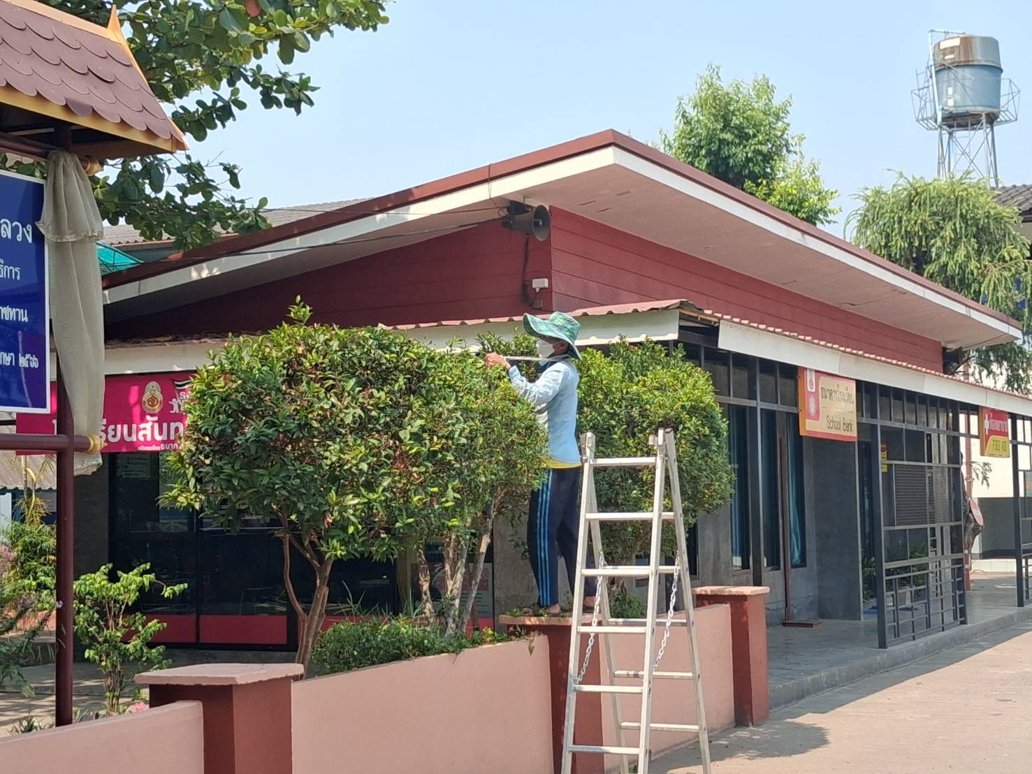 แกลลอรี่